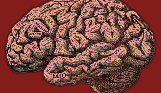 本能で英語を学ぶ方法と努力で英語を学ぶ方法